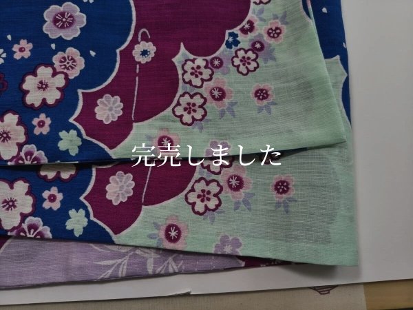 画像4: 付帯の素 (4)